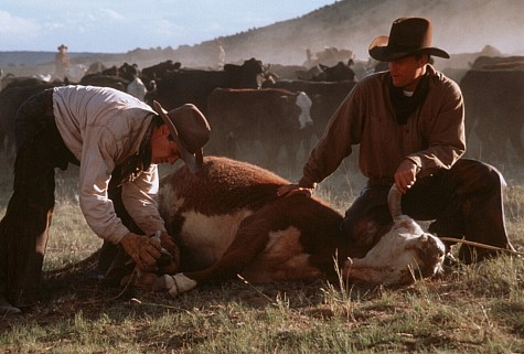 Still of Woody Harrelson and Billy Crudup in The Hi-Lo Country (1998)