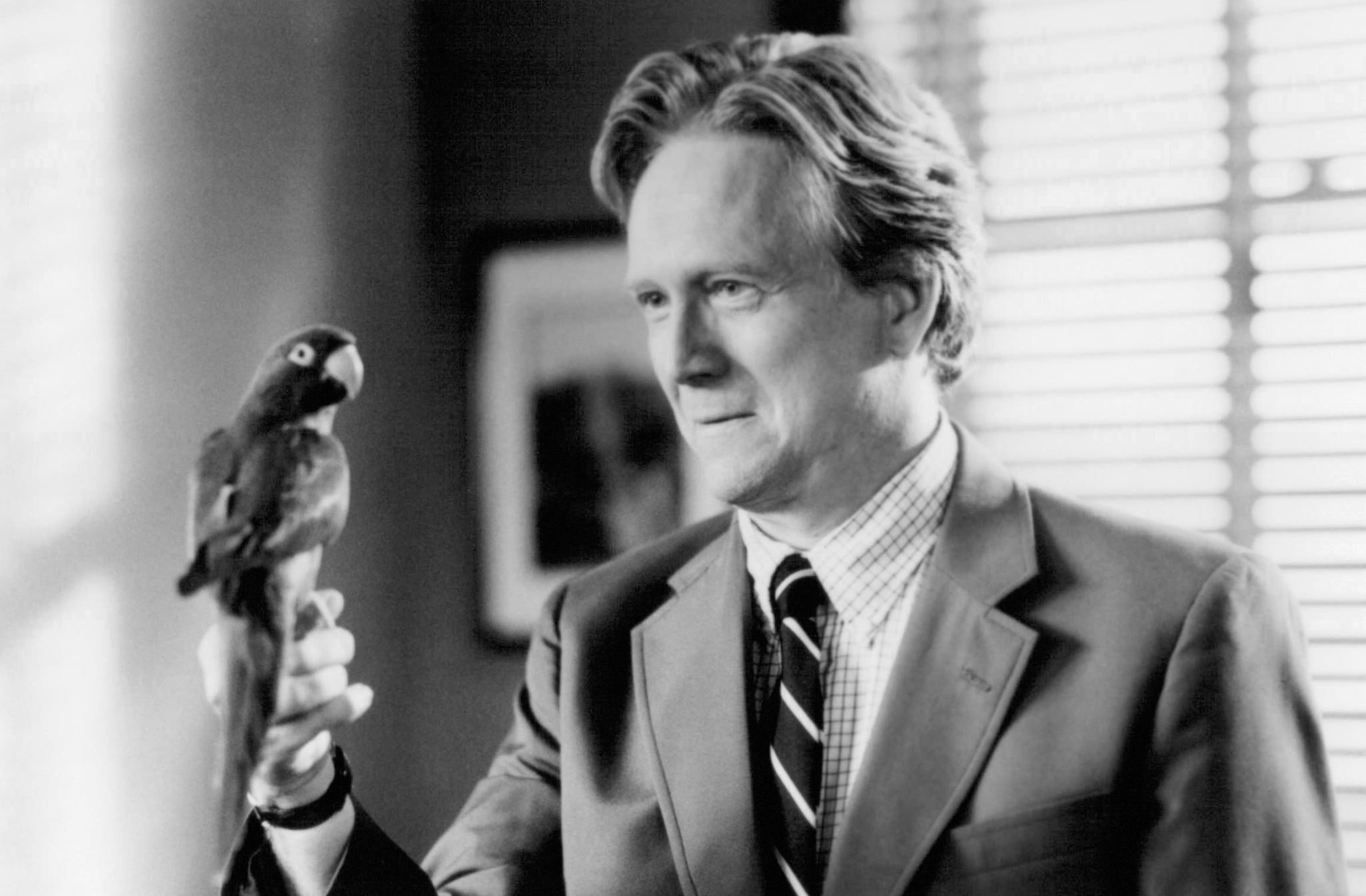 Still of Bruce Davison in Paulie (1998)