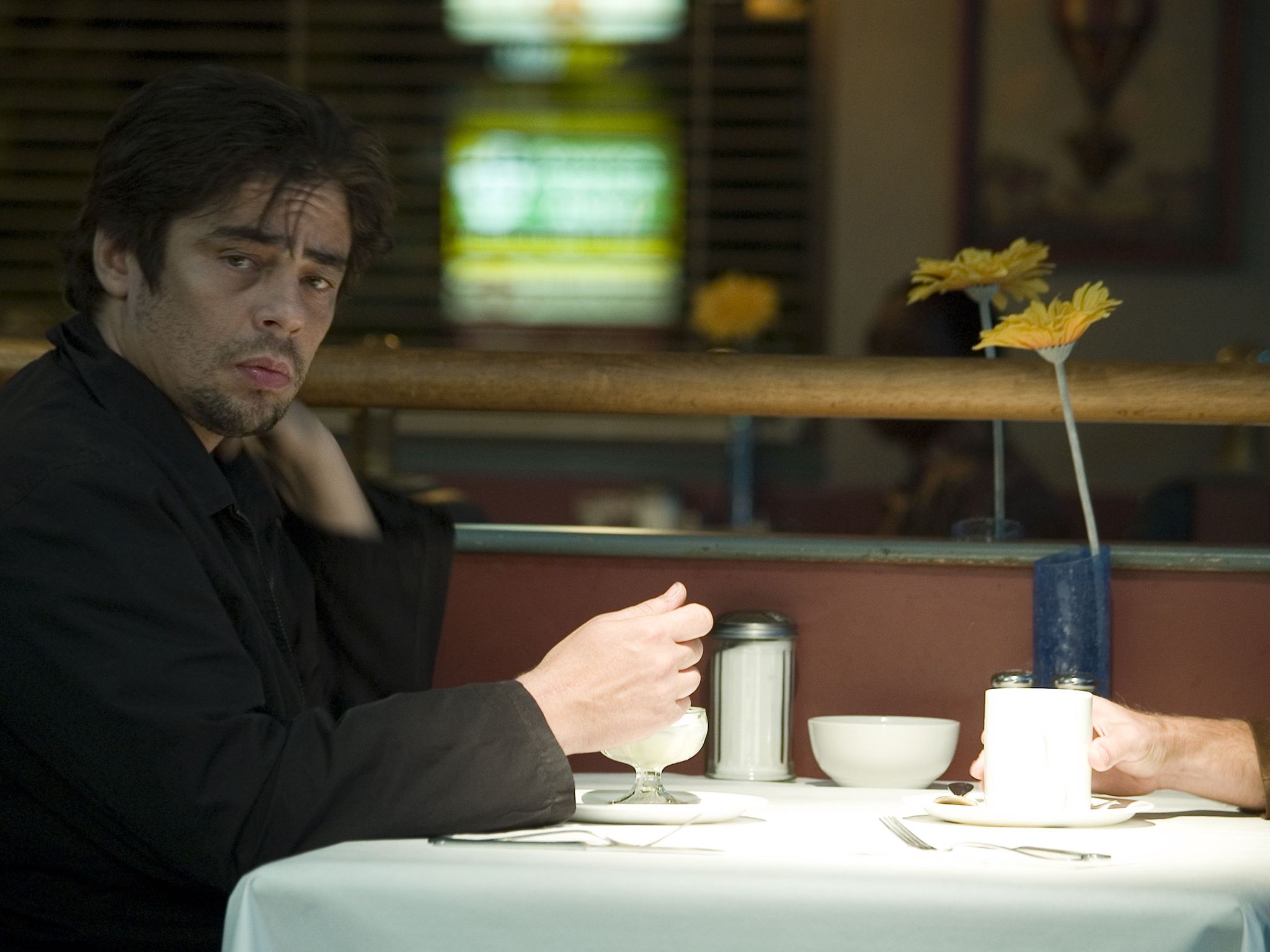 Still of Benicio Del Toro in Things We Lost in the Fire (2007)