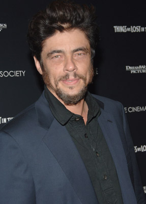 Benicio Del Toro at event of Things We Lost in the Fire (2007)