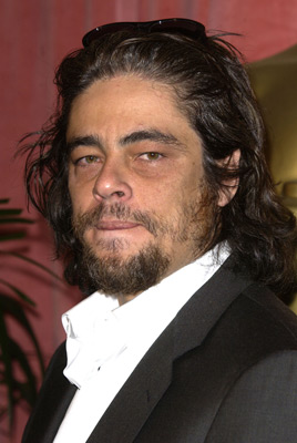 Benicio Del Toro