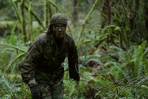 Still of Benicio Del Toro in The Hunted (2003)