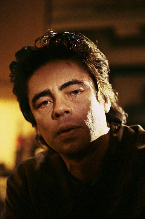 Still of Benicio Del Toro in The Hunted (2003)