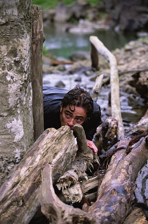 Still of Benicio Del Toro in The Hunted (2003)