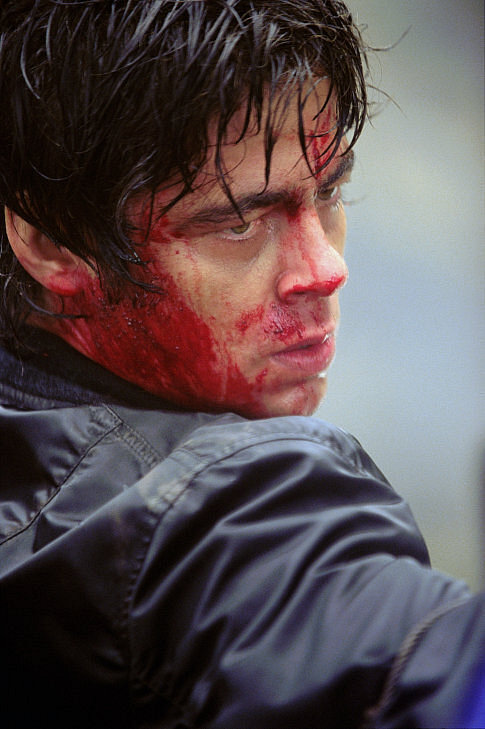 Still of Benicio Del Toro in The Hunted (2003)