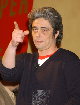 Benicio Del Toro