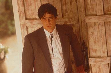 Benicio Del Toro stars as Javier Rodriguez