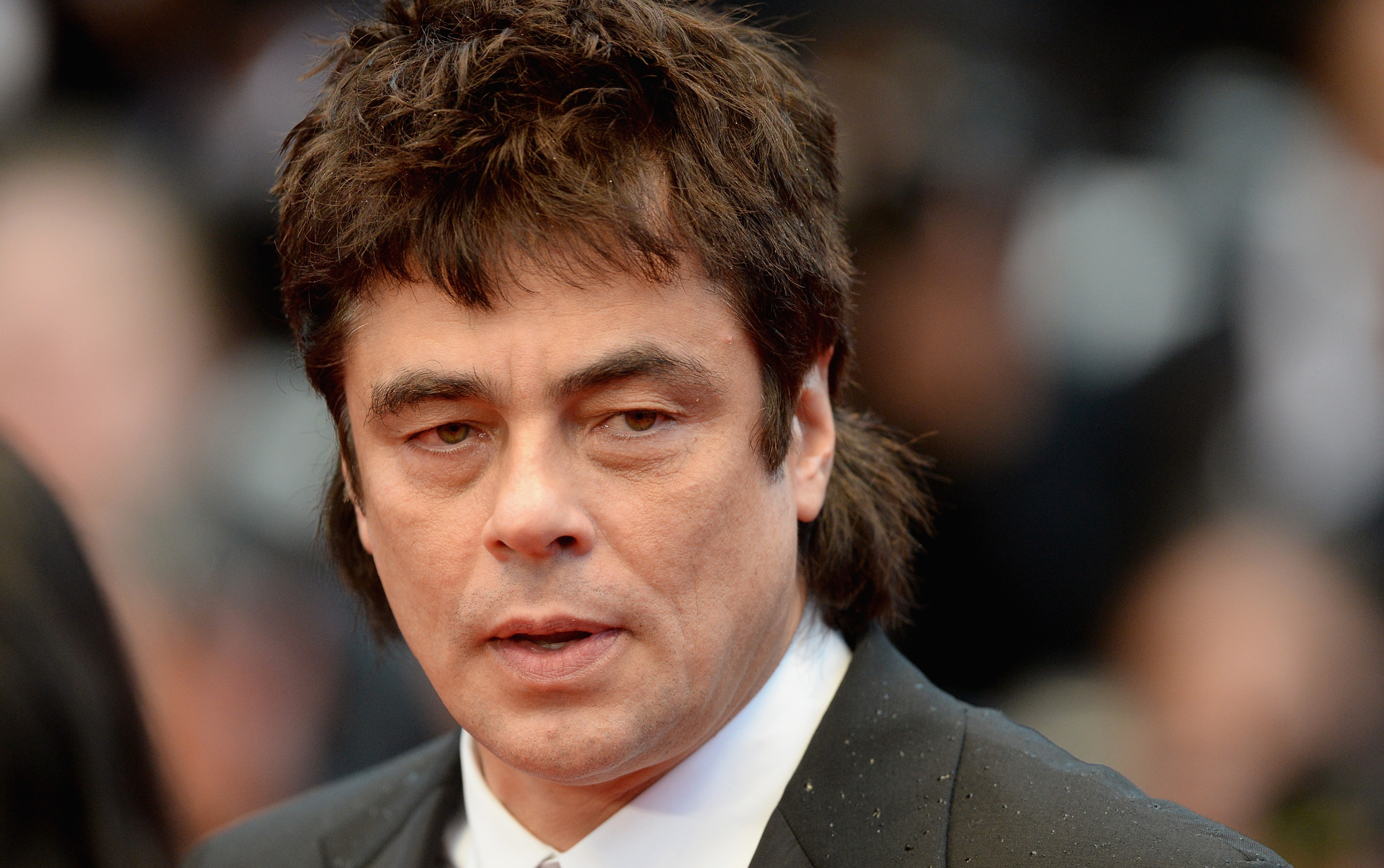 Benicio Del Toro at event of Jimmy P. (2013)