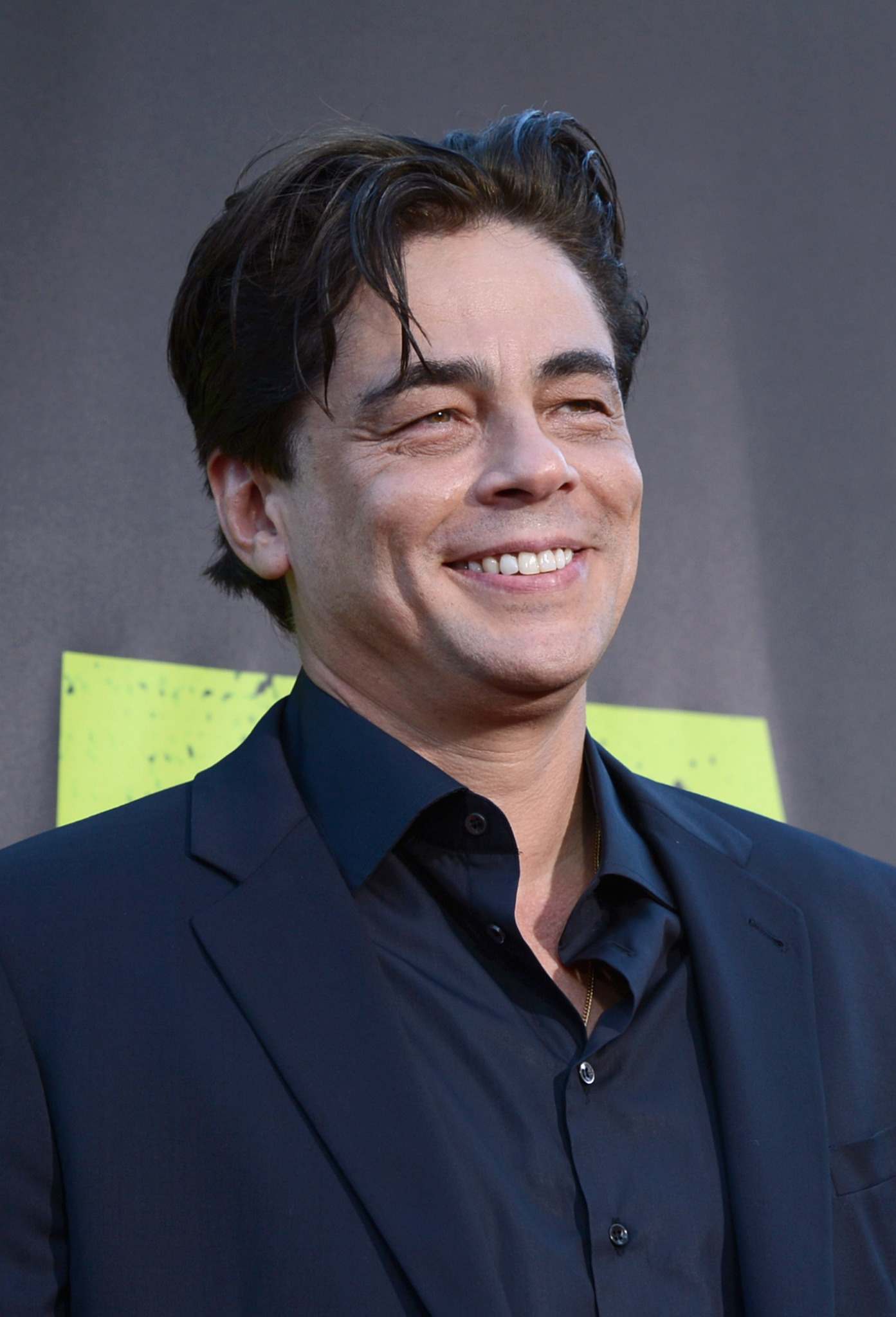 Benicio Del Toro at event of Laukiniai (2012)