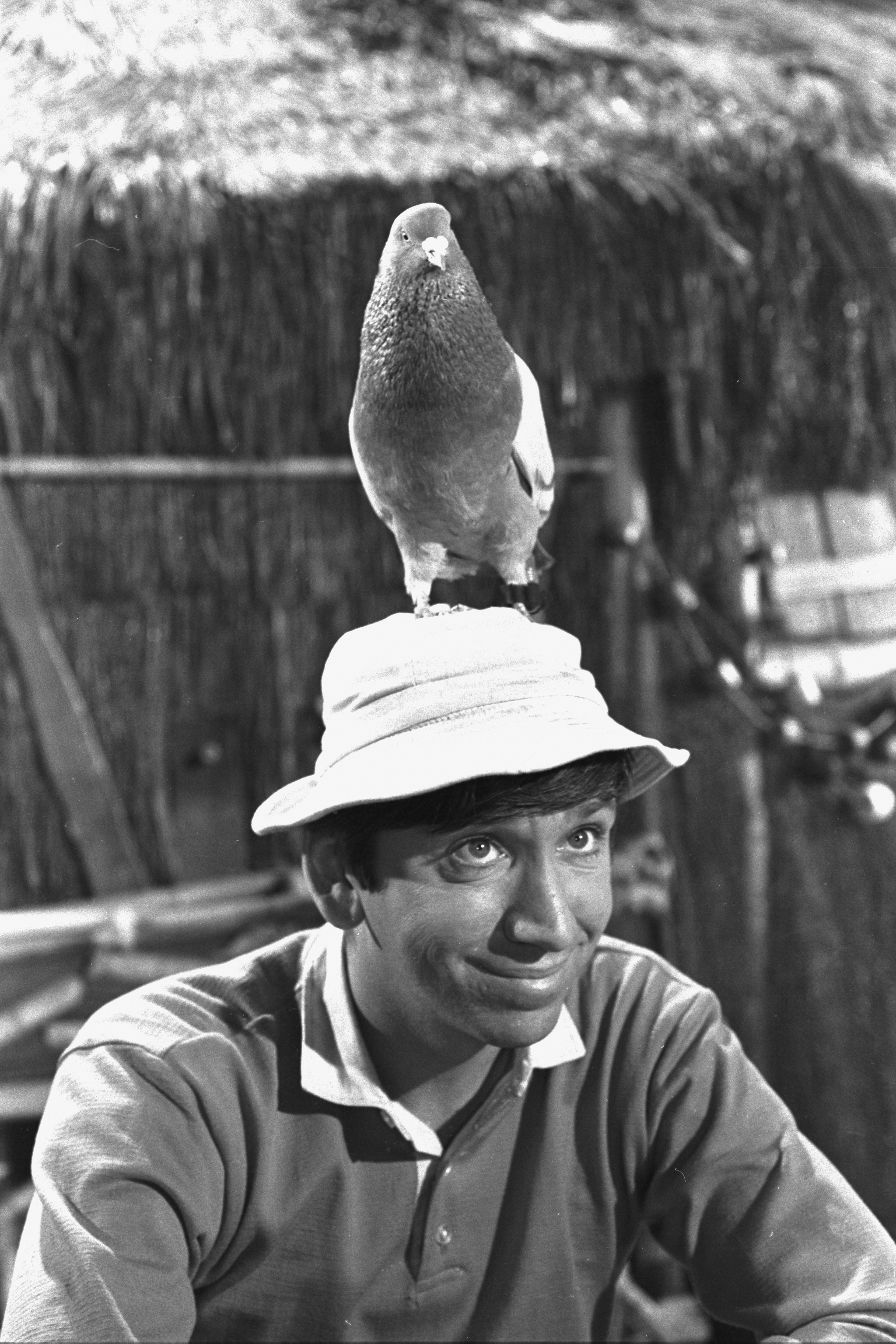 Still of Bob Denver in Gilligan's Island (1964)