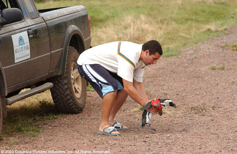 Still of Adam Sandler in Visados kaip pirma karta (2004)