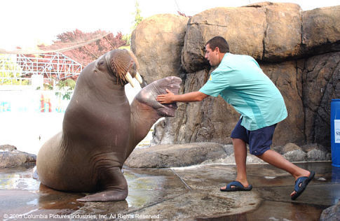 Still of Adam Sandler in Visados kaip pirma karta (2004)