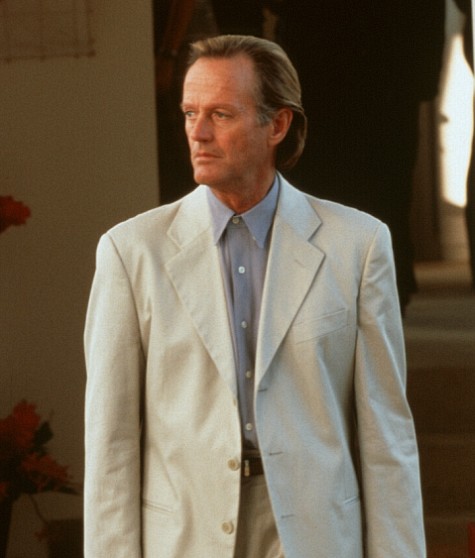 Still of Peter Fonda in The Limey (1999)