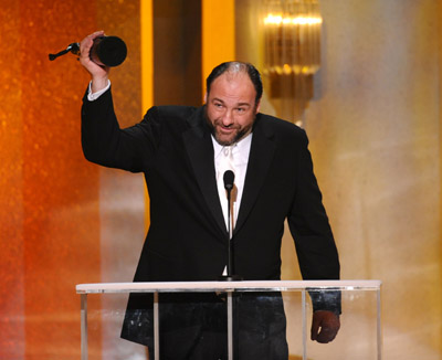 James Gandolfini at event of 14th Annual Screen Actors Guild Awards (2008)