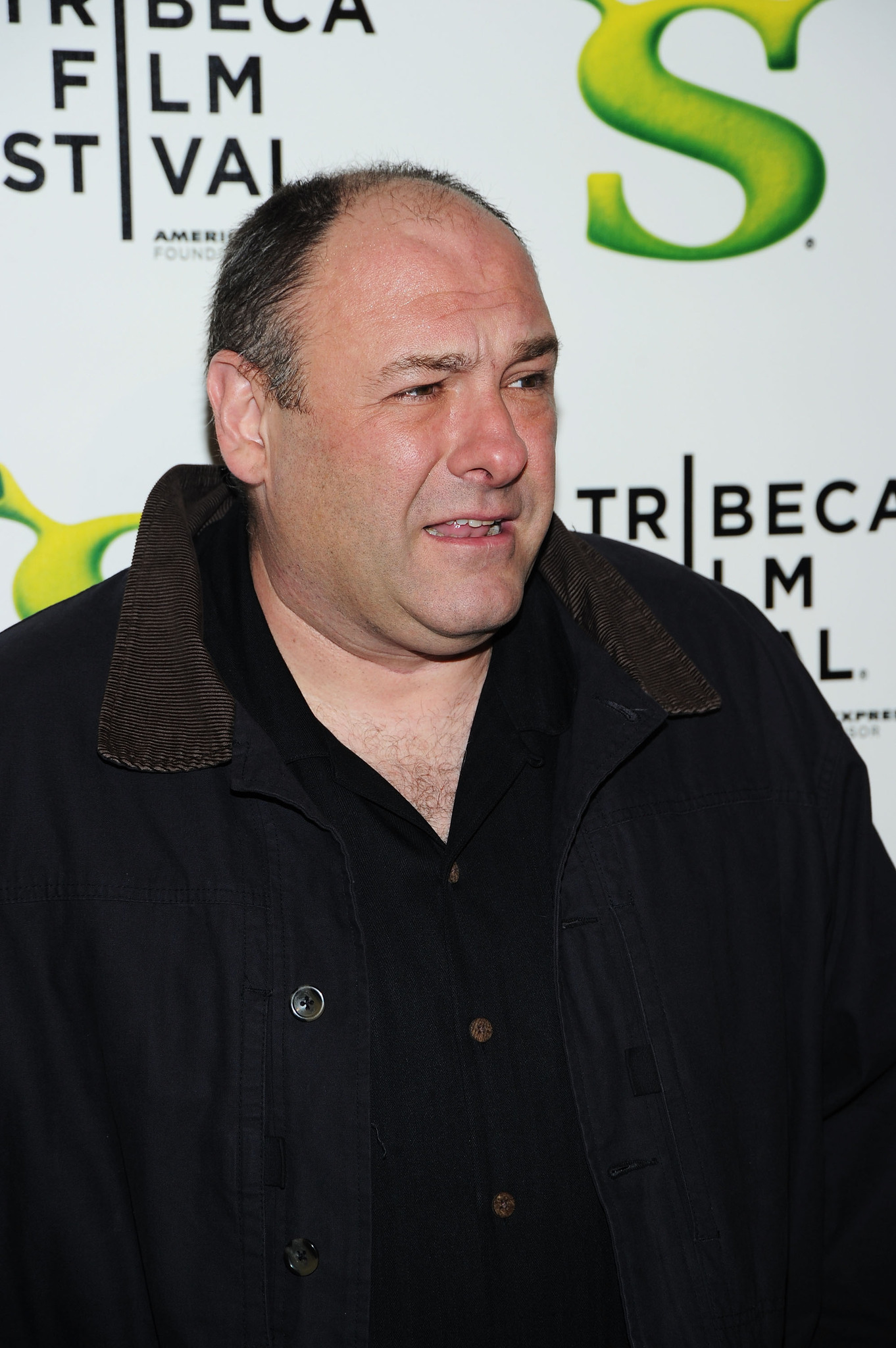 James Gandolfini