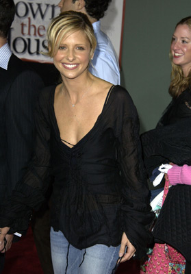 Sarah Michelle Gellar at event of Bringing Down the House (2003)