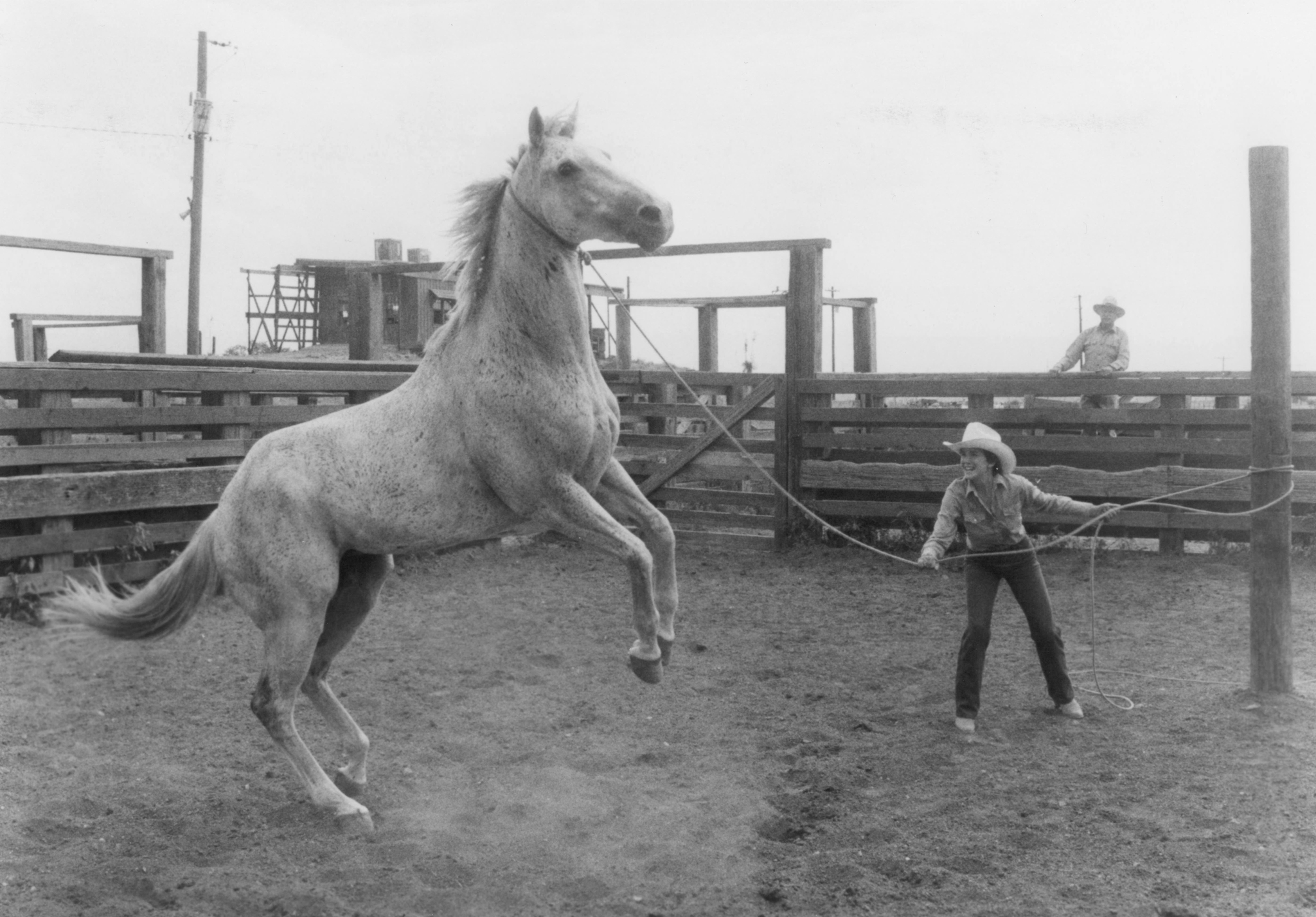 Still of Melissa Gilbert in Sylvester (1985)