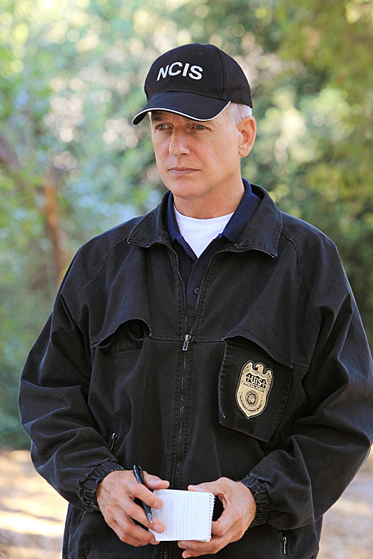 Still of Mark Harmon and Sonja Flemming in NCIS: Naval Criminal Investigative Service (2003)