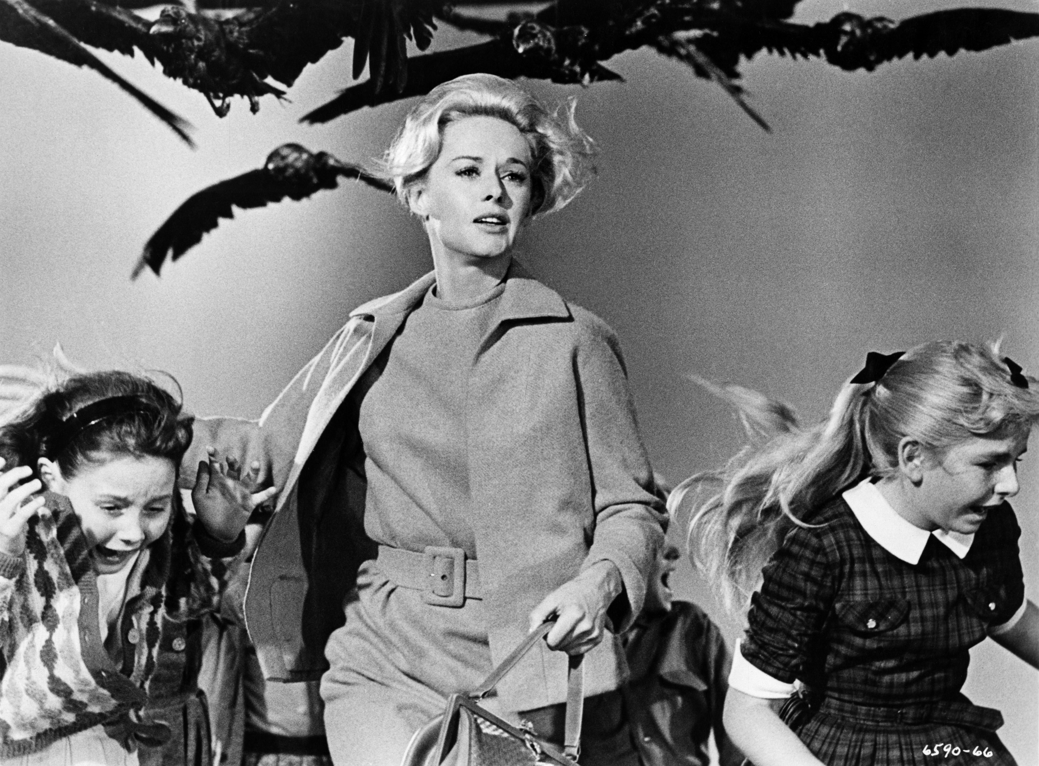 Still of Tippi Hedren in The Birds (1963)