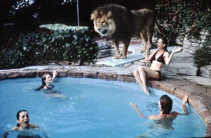 Tippi Hedren at home with her children and their pet lion (Melanie Griffith top left)