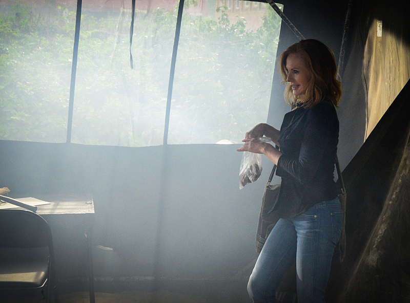 Still of Marg Helgenberger in Under the Dome (2013)