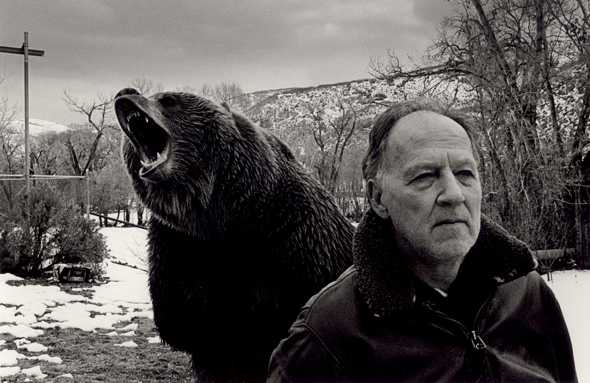 Still of Werner Herzog in Grizzly Man (2005)