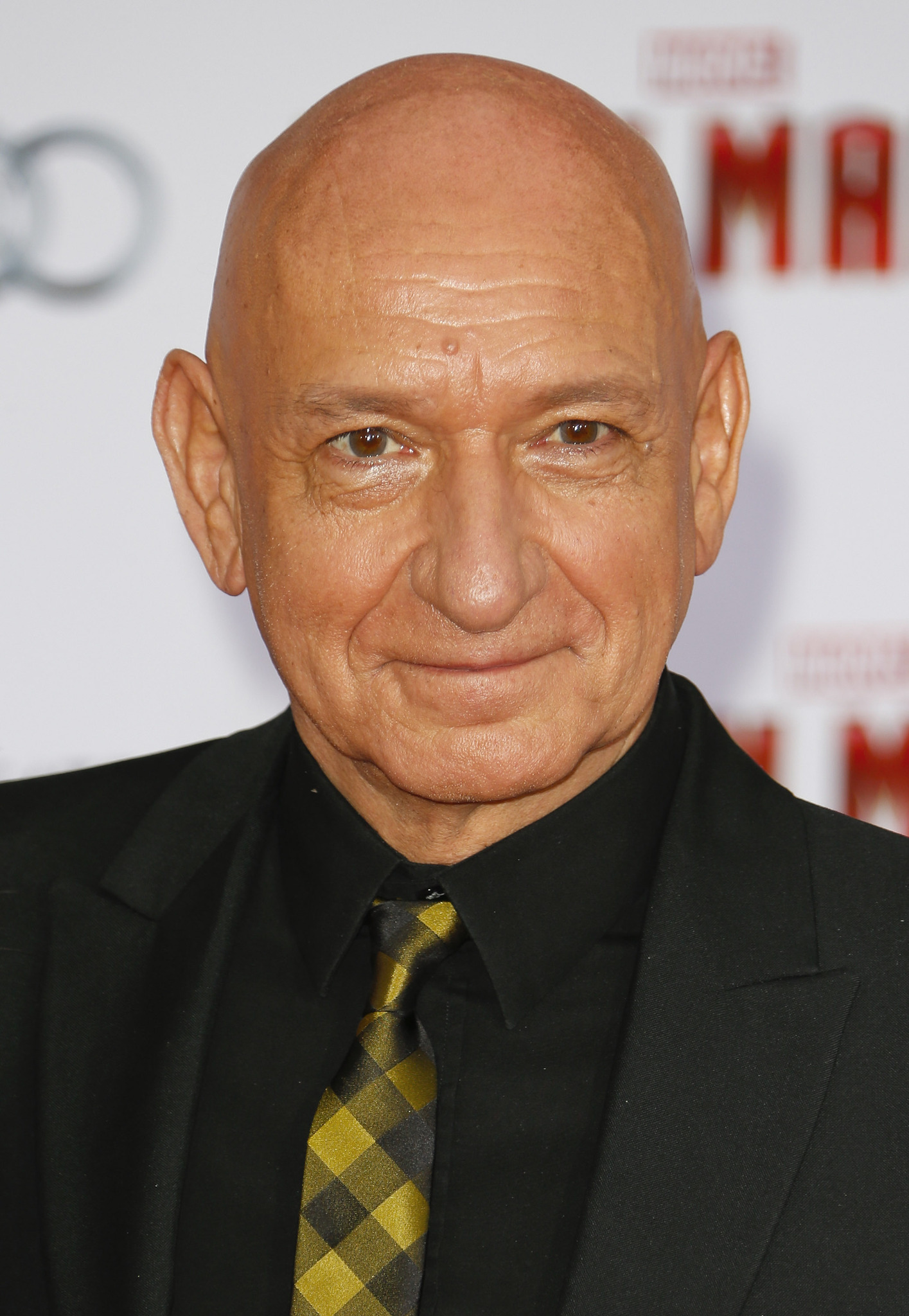 Ben Kingsley at event of Gelezinis zmogus 3 (2013)