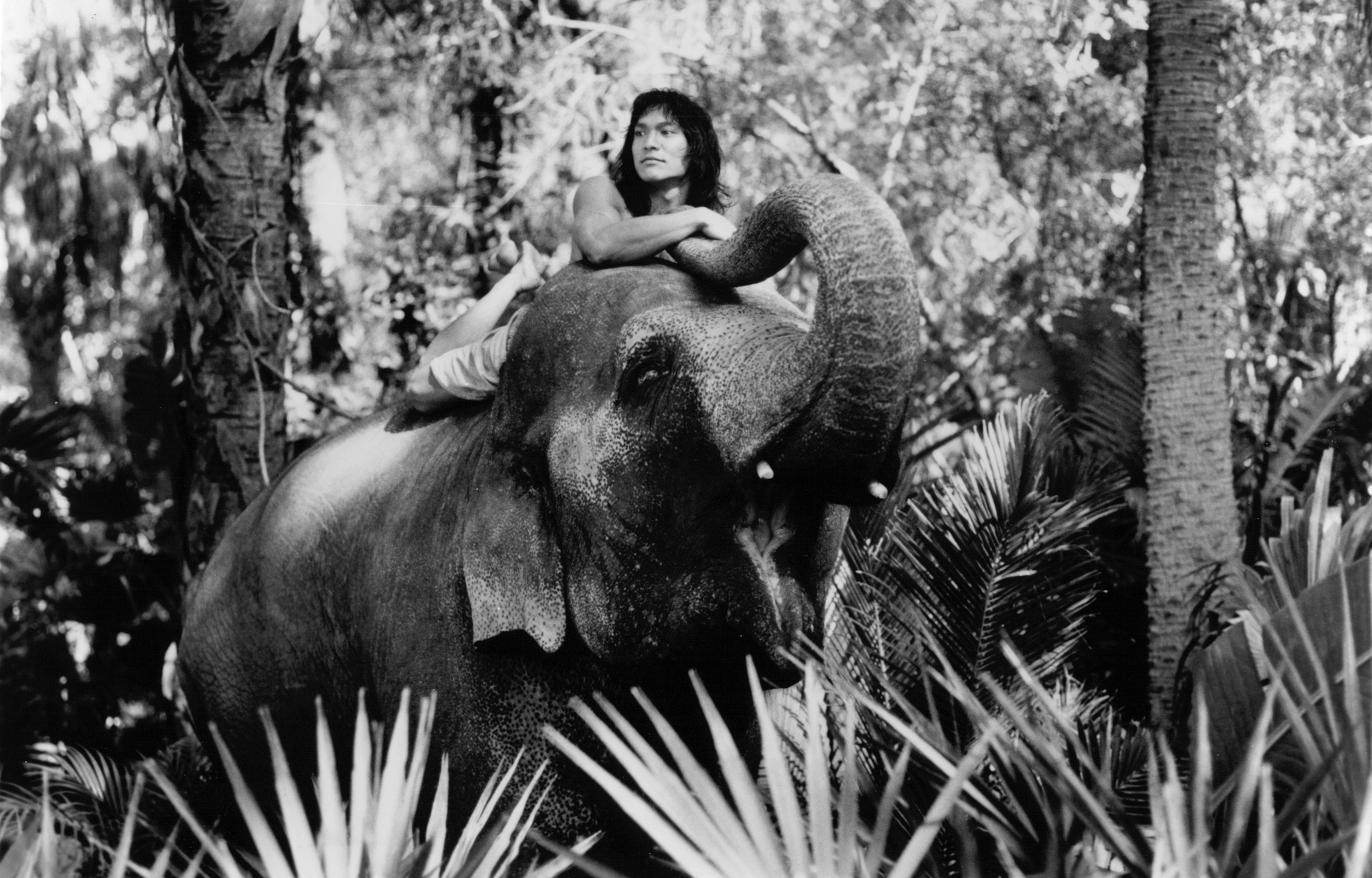Still of Jason Scott Lee in The Jungle Book (1994)
