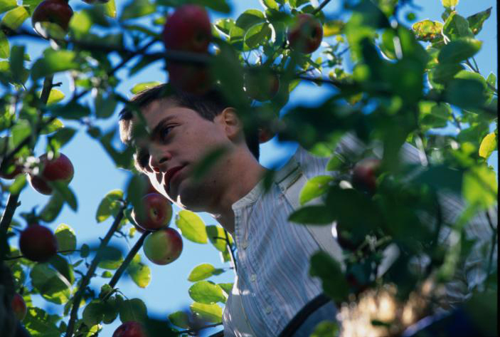 Still of Tobey Maguire in The Cider House Rules (1999)