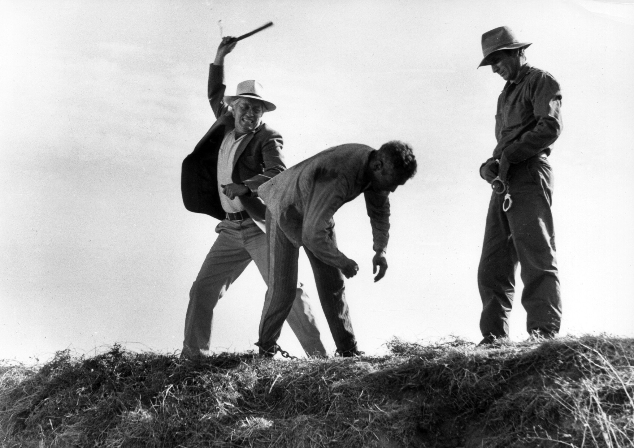 Still of Strother Martin in Cool Hand Luke (1967)