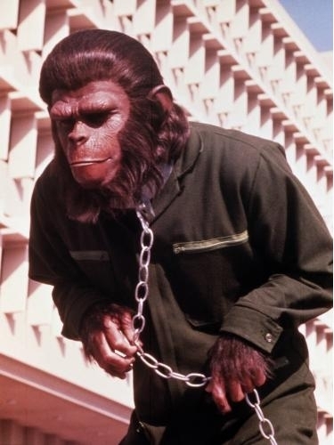 Still of Roddy McDowall in Conquest of the Planet of the Apes (1972)