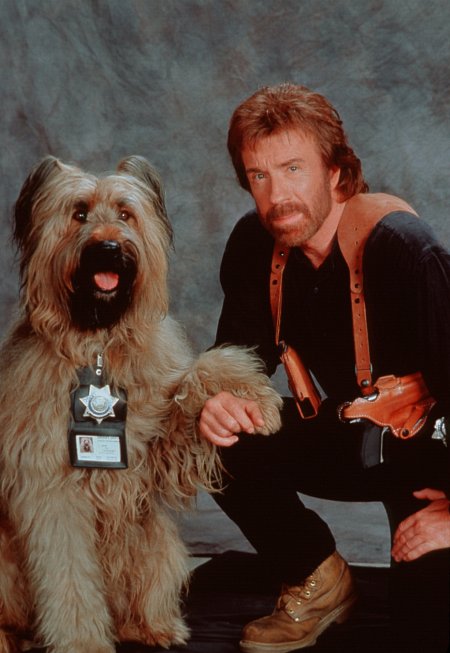 Chuck Norris in Top Dog (1995)