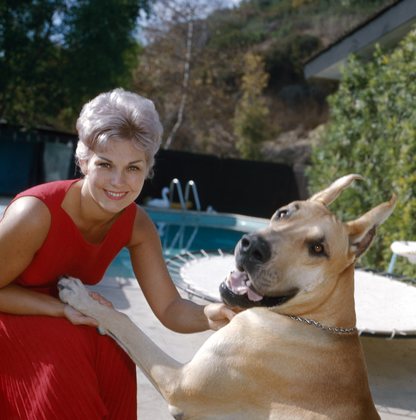 Kim Novak and her pet 1961 © 1978 Wallace Seawell