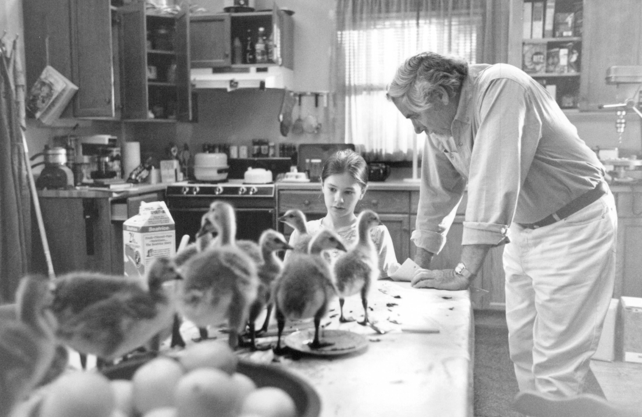 Still of Anna Paquin and Carroll Ballard in Fly Away Home (1996)