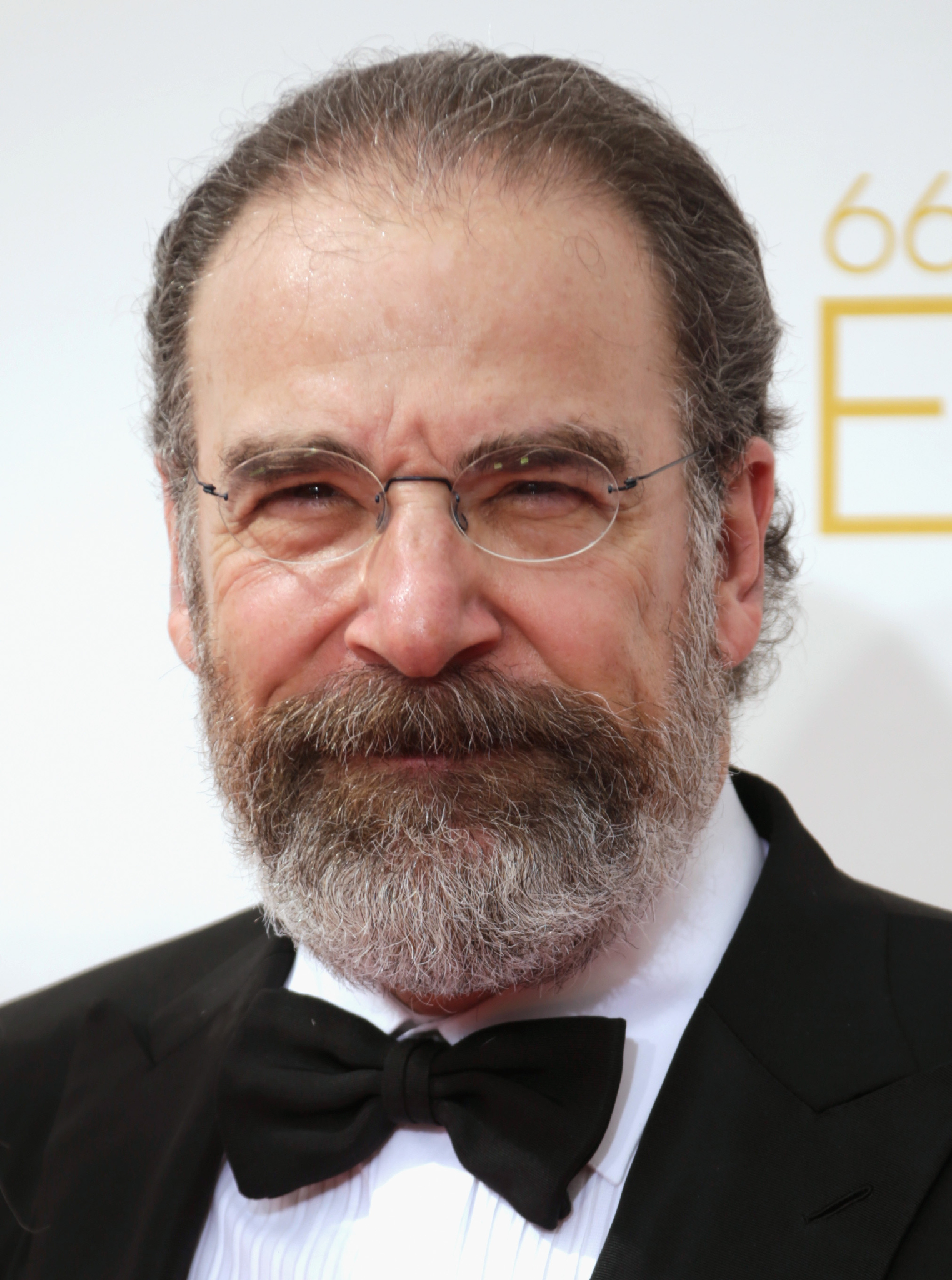 Mandy Patinkin at event of The 66th Primetime Emmy Awards (2014)