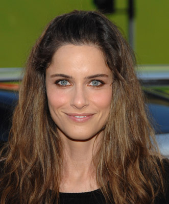 Amanda Peet at event of Hankokas (2008)