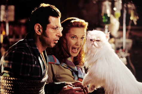 Still of Jeff Goldblum and Elizabeth Perkins in Kates ir sunys (2001)