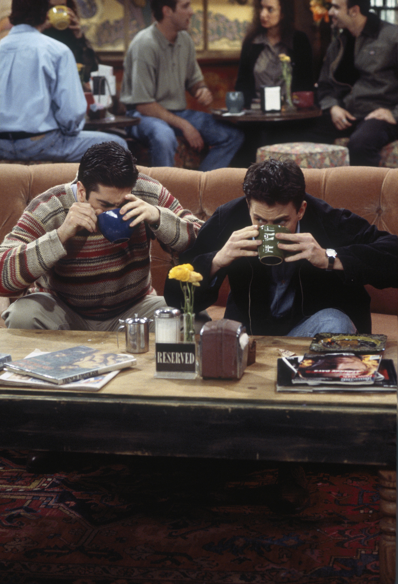 Matthew Perry and David Schwimmer