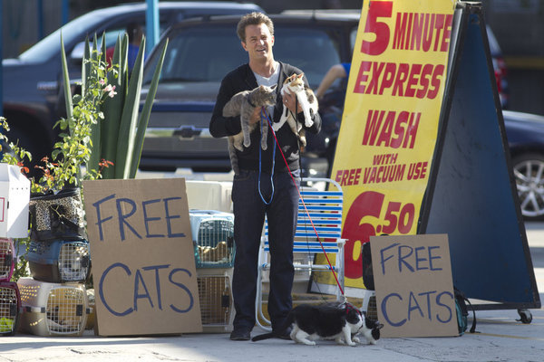 Still of Matthew Perry in Go On: He Got Game, She Got Cats (2012)
