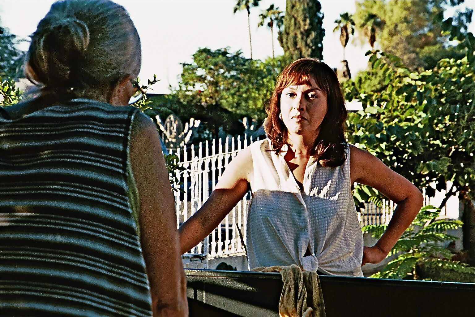 Still of Elizabeth Peña in How the Garcia Girls Spent Their Summer (2005)