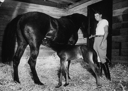 Ronald Reagan on his farm with an 8 hour old colt