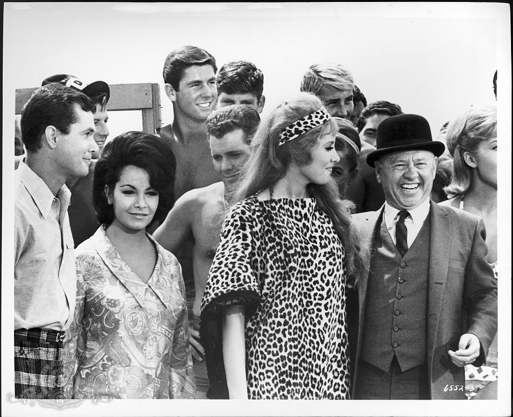 Still of Mickey Rooney, Annette Funicello, Beverly Adams and Dwayne Hickman in How to Stuff a Wild Bikini (1965)