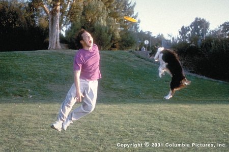 Still of Rob Schneider in The Animal (2001)