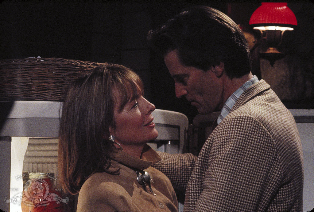 Still of Diane Keaton and Sam Shepard in Baby Boom (1987)