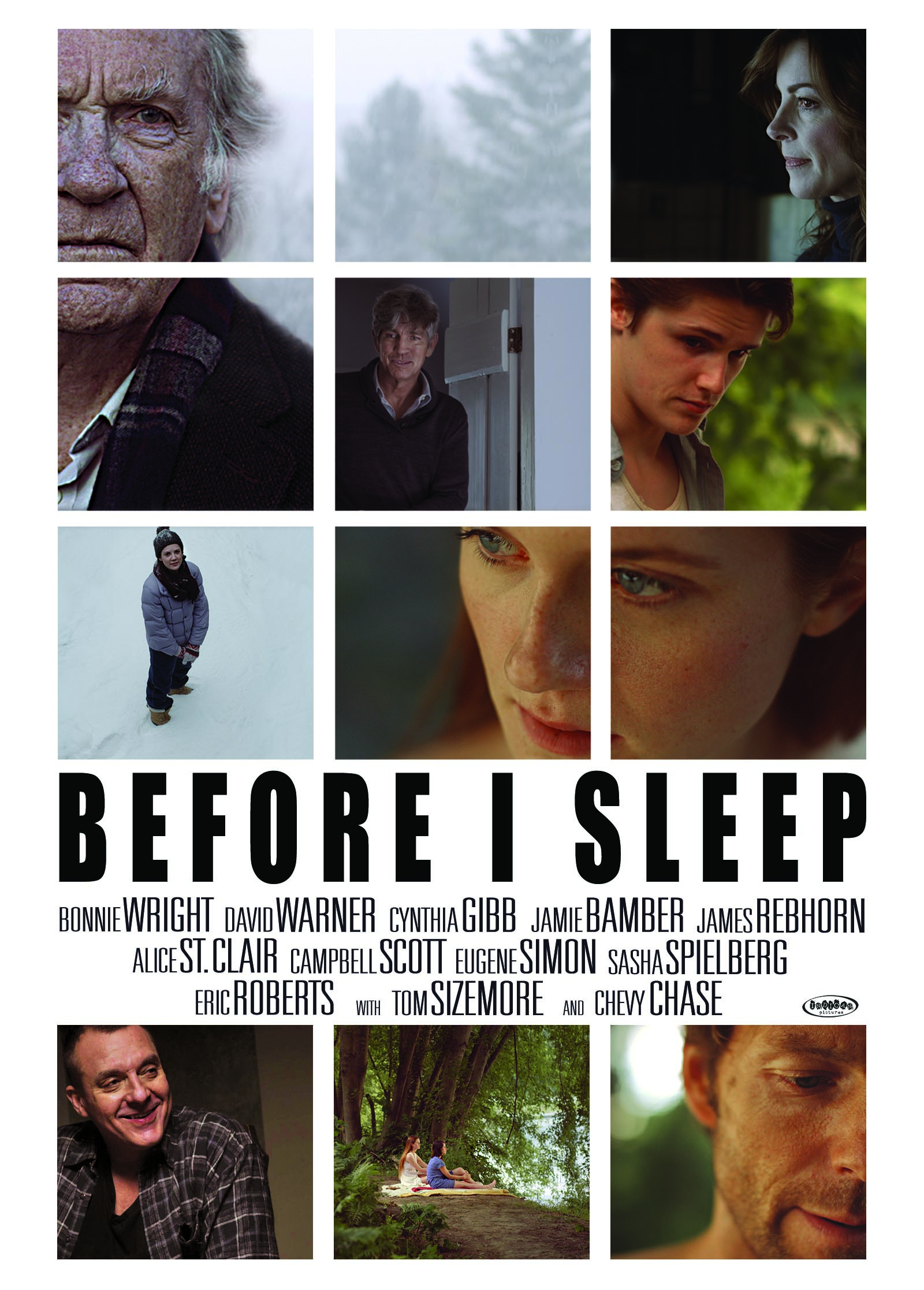 Eric Roberts, Cynthia Gibb, Campbell Scott, Tom Sizemore, David Warner, Jamie Bamber, James Rebhorn, Sasha Spielberg, Bonnie Wright, Eugene Simon, Caley Chase, Clare Foley and Alice St. Clair in Before I Sleep (2013)