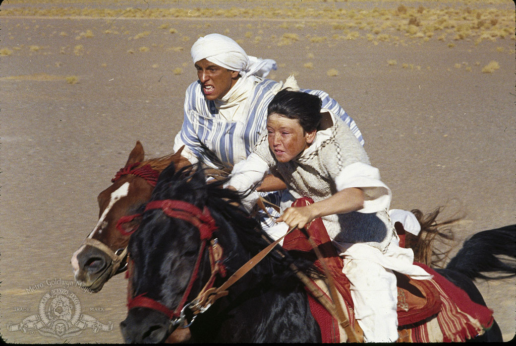 Still of Vincent Spano and Kelly Reno in The Black Stallion Returns (1983)