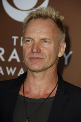 Sting at event of The 48th Annual Grammy Awards (2006)