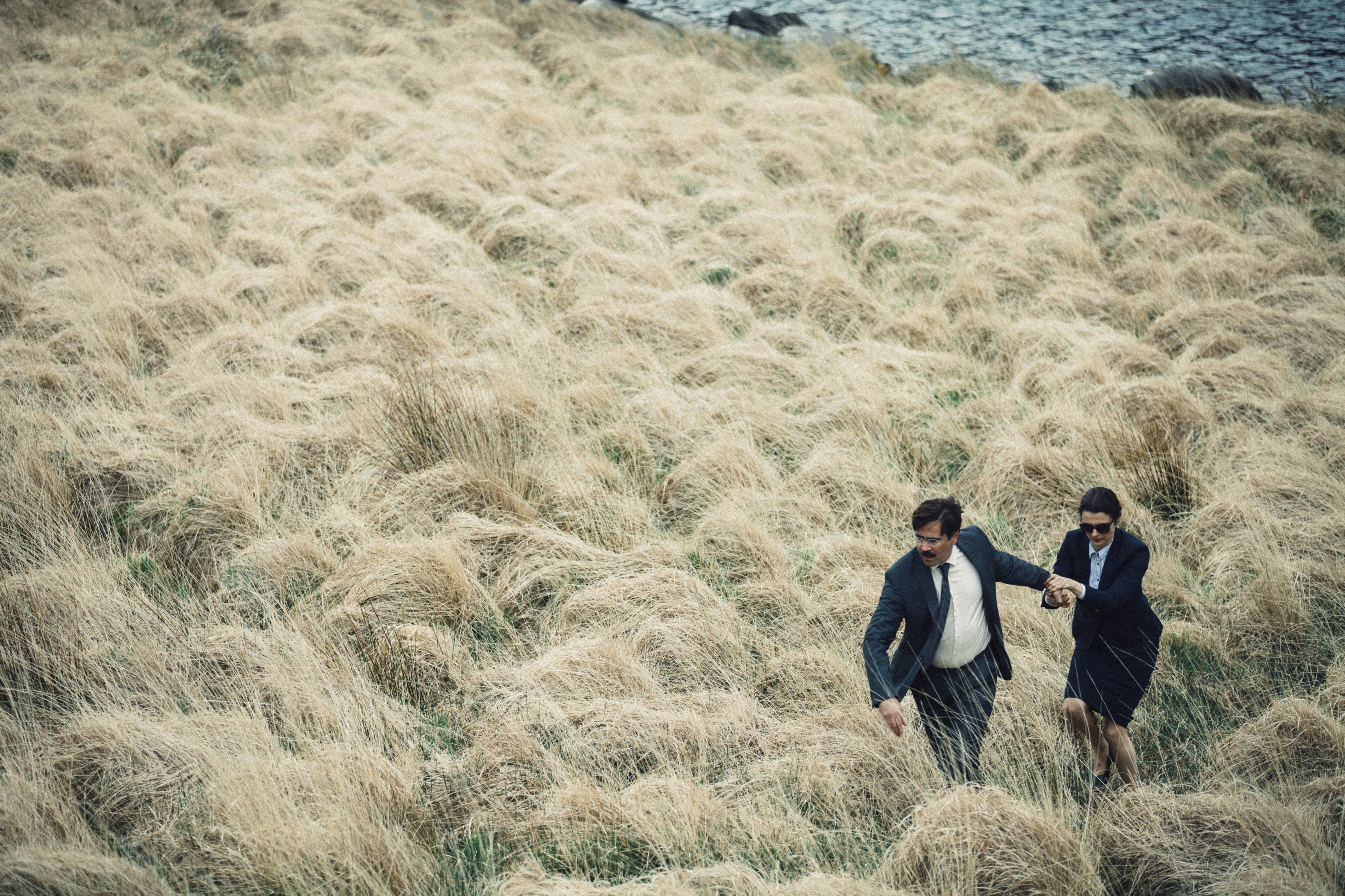 Still of Rachel Weisz and Colin Farrell in The Lobster (2015)