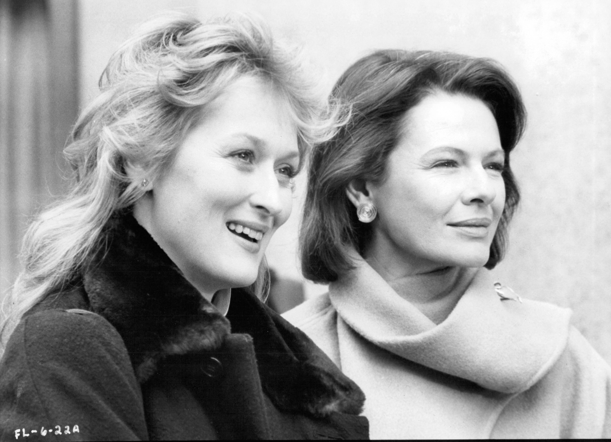 Still of Meryl Streep and Dianne Wiest in Falling in Love (1984)