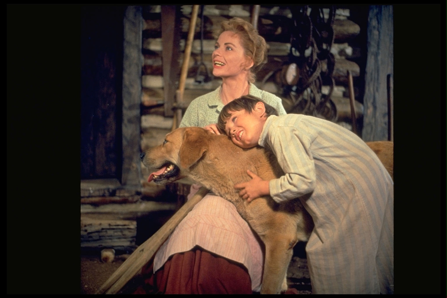 Still of Kevin Corcoran and Dorothy McGuire in Old Yeller (1957)